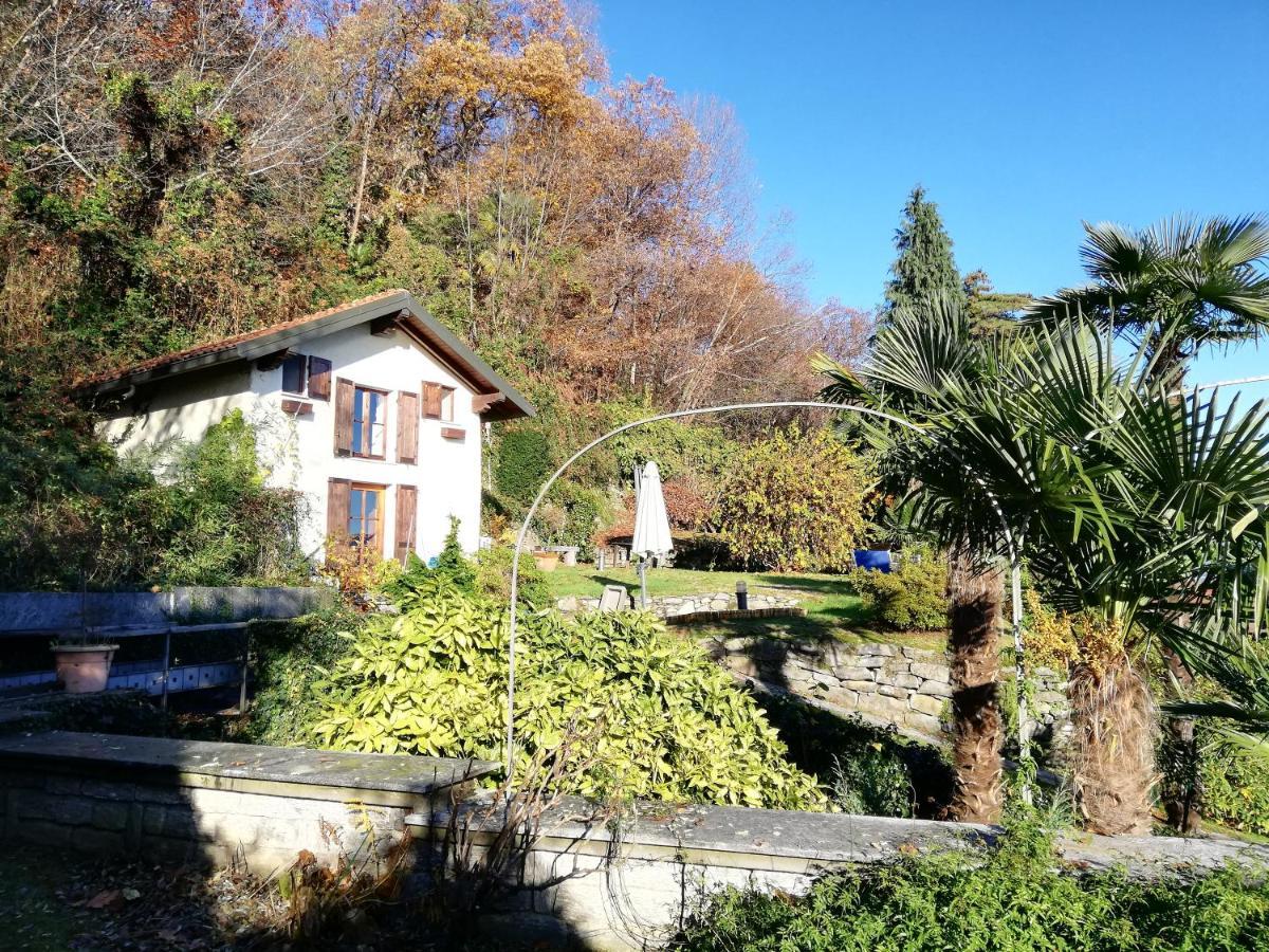 Romantica Casetta Nel Verde Con Vista Sul Lago 벨지라테 외부 사진